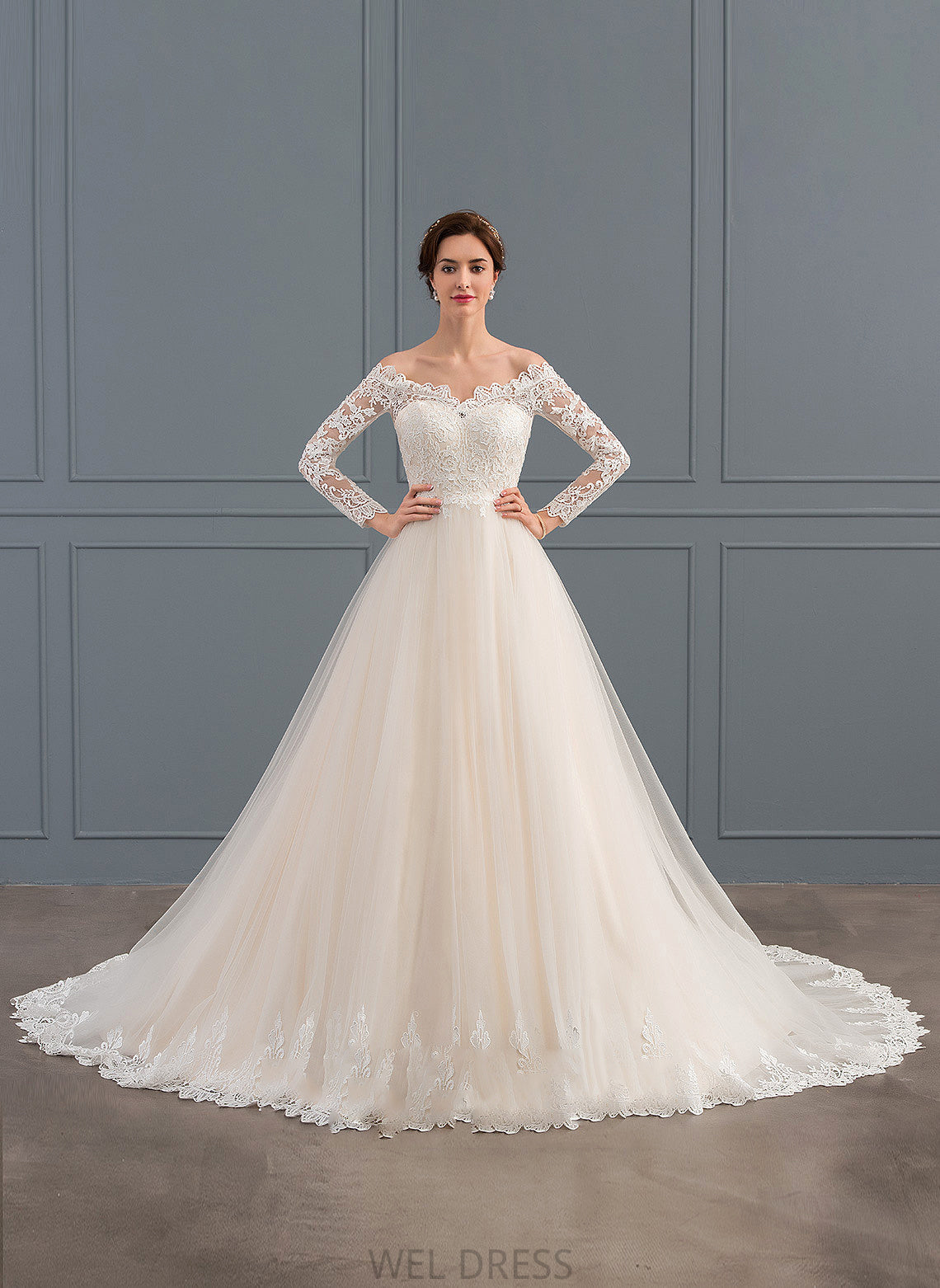 Train Dress Off-the-Shoulder Tulle Lace Wedding Dresses Chapel Ball-Gown/Princess Wedding Natalie